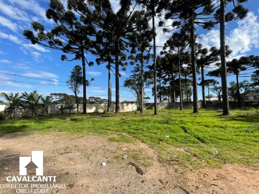 Foto 6 de Terreno / Lote à venda, 7679m2 em Itália, Sao Jose Dos Pinhais - PR