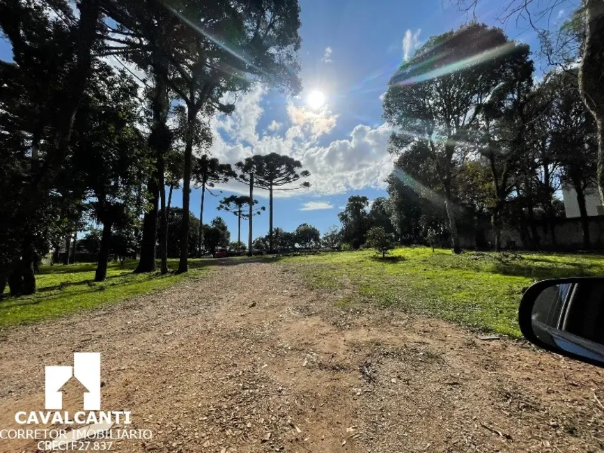Foto 8 de Terreno / Lote à venda, 7679m2 em Itália, Sao Jose Dos Pinhais - PR
