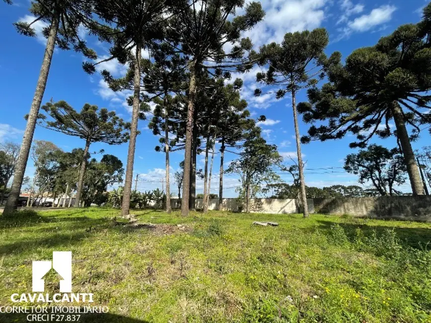 Foto 2 de Terreno / Lote à venda, 7679m2 em Itália, Sao Jose Dos Pinhais - PR