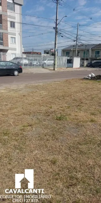 Foto 11 de Terreno / Lote à venda, 246m2 em Parque da Fonte, Sao Jose Dos Pinhais - PR