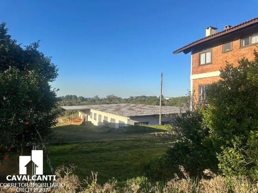 Foto 11 de Terreno / Lote à venda, 12542m2 em Barro Preto, Sao Jose Dos Pinhais - PR