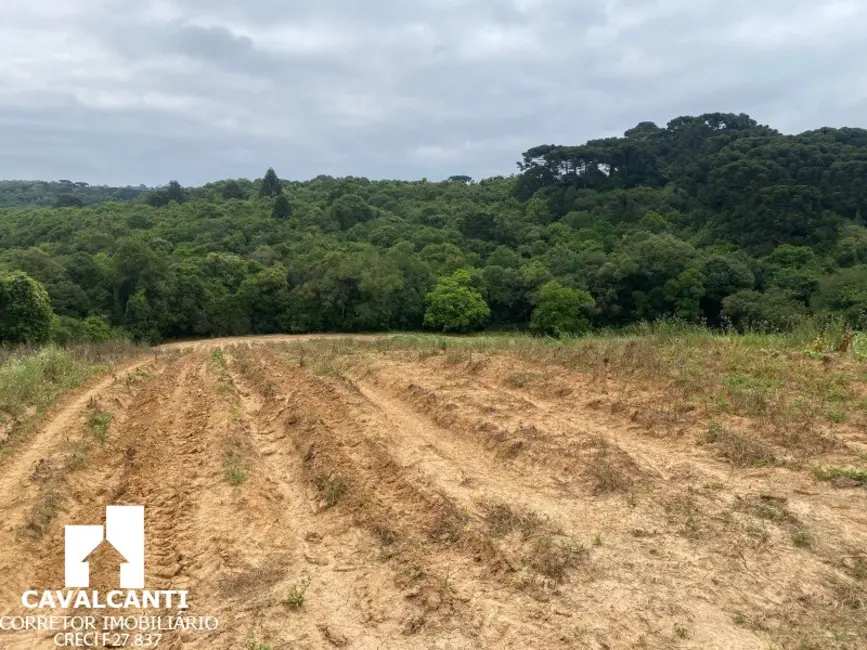 Terreno / Lote à venda, 169400m2 em Colônia Murici, Sao Jose Dos Pinhais - PR - imagem 4 Foto 4 de Terreno / Lote à venda, 169400m2 em Colônia Murici, Sao Jose Dos Pinhais - PR