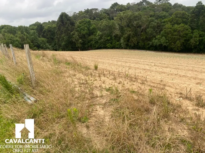 Terreno / Lote à venda, 169400m2 em Colônia Murici, Sao Jose Dos Pinhais - PR - imagem 9 Foto 9 de Terreno / Lote à venda, 169400m2 em Colônia Murici, Sao Jose Dos Pinhais - PR