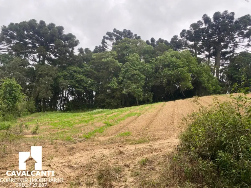 Foto 13 de Terreno / Lote à venda, 169400m2 em Colônia Murici, Sao Jose Dos Pinhais - PR