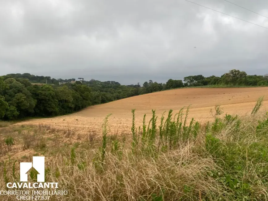 Foto 25 de Terreno / Lote à venda, 169400m2 em Colônia Murici, Sao Jose Dos Pinhais - PR