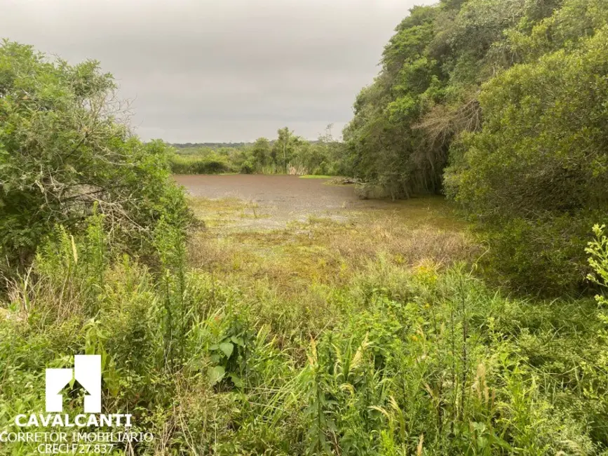 Foto 19 de Terreno / Lote à venda, 169400m2 em Colônia Murici, Sao Jose Dos Pinhais - PR