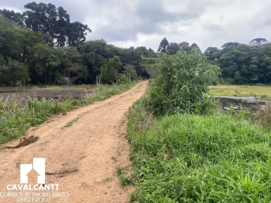 Foto 22 de Terreno / Lote à venda, 169400m2 em Colônia Murici, Sao Jose Dos Pinhais - PR