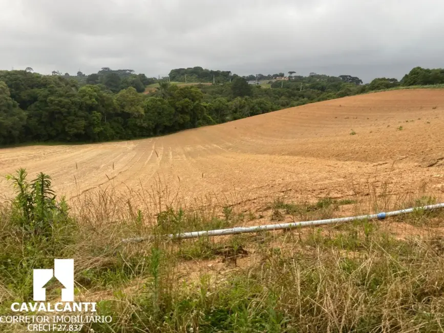 Foto 24 de Terreno / Lote à venda, 169400m2 em Colônia Murici, Sao Jose Dos Pinhais - PR