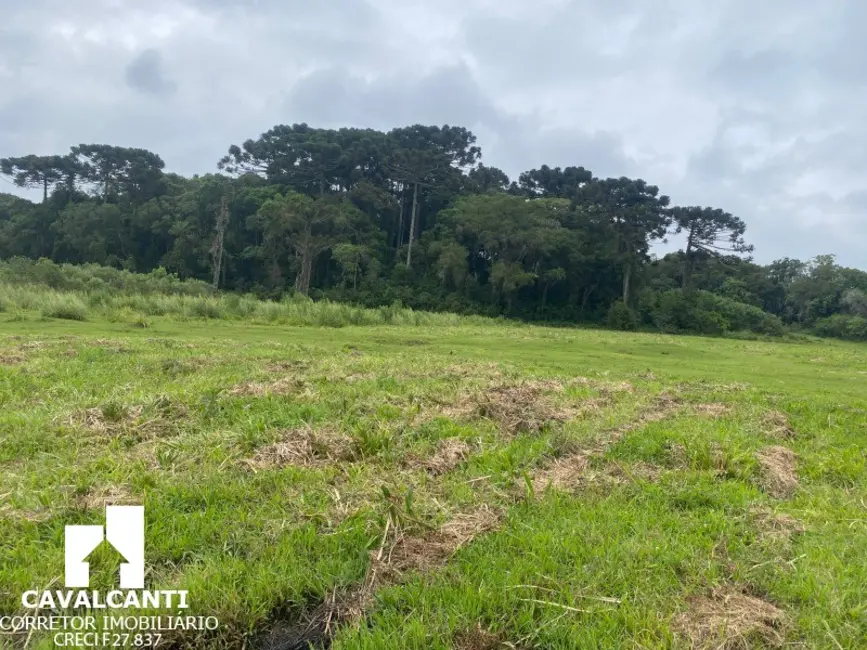 Foto 20 de Terreno / Lote à venda, 169400m2 em Colônia Murici, Sao Jose Dos Pinhais - PR