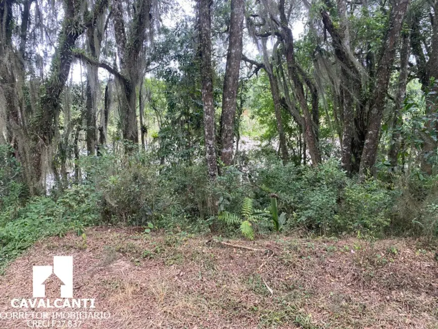 Foto 12 de Terreno / Lote à venda, 169400m2 em Colônia Murici, Sao Jose Dos Pinhais - PR