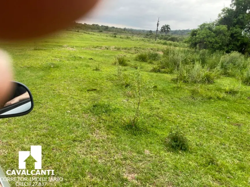 Foto 15 de Terreno / Lote à venda, 169400m2 em Colônia Murici, Sao Jose Dos Pinhais - PR