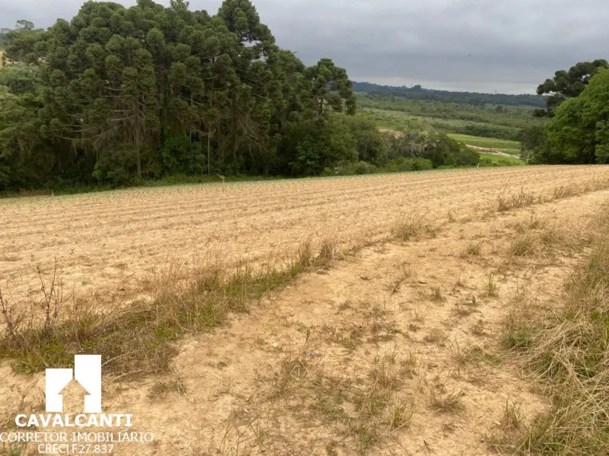Foto 10 de Terreno / Lote à venda, 169400m2 em Colônia Murici, Sao Jose Dos Pinhais - PR