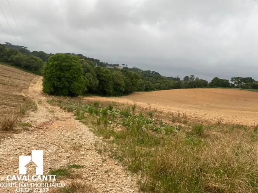 Foto 26 de Terreno / Lote à venda, 169400m2 em Colônia Murici, Sao Jose Dos Pinhais - PR