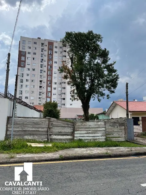 Foto 3 de Terreno / Lote à venda, 640m2 em São Pedro, Sao Jose Dos Pinhais - PR