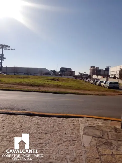 Terreno / Lote para alugar, 4000m2 em Cruzeiro, Sao Jose Dos Pinhais - PR - imagem 5 Foto 5 de Terreno / Lote para alugar, 4000m2 em Cruzeiro, Sao Jose Dos Pinhais - PR