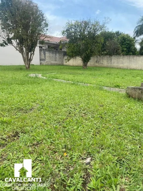 Foto 8 de Sala Comercial com 4 quartos para alugar, 300m2 em Bom Jesus, Sao Jose Dos Pinhais - PR