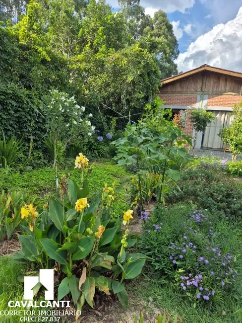 Foto 9 de Chácara com 1 quarto à venda, 100m2 em Colonia Marcelino, Sao Jose Dos Pinhais - PR