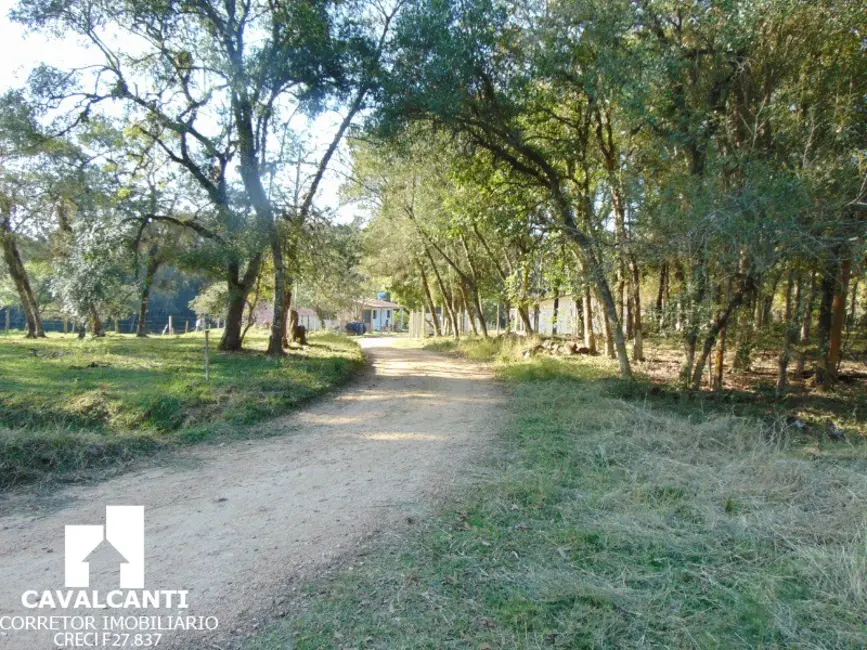 Chácara à venda, 75000m2 em Campina do Taquaral, Sao Jose Dos Pinhais - PR - imagem 3 Foto 3 de Chácara à venda, 75000m2 em Campina do Taquaral, Sao Jose Dos Pinhais - PR
