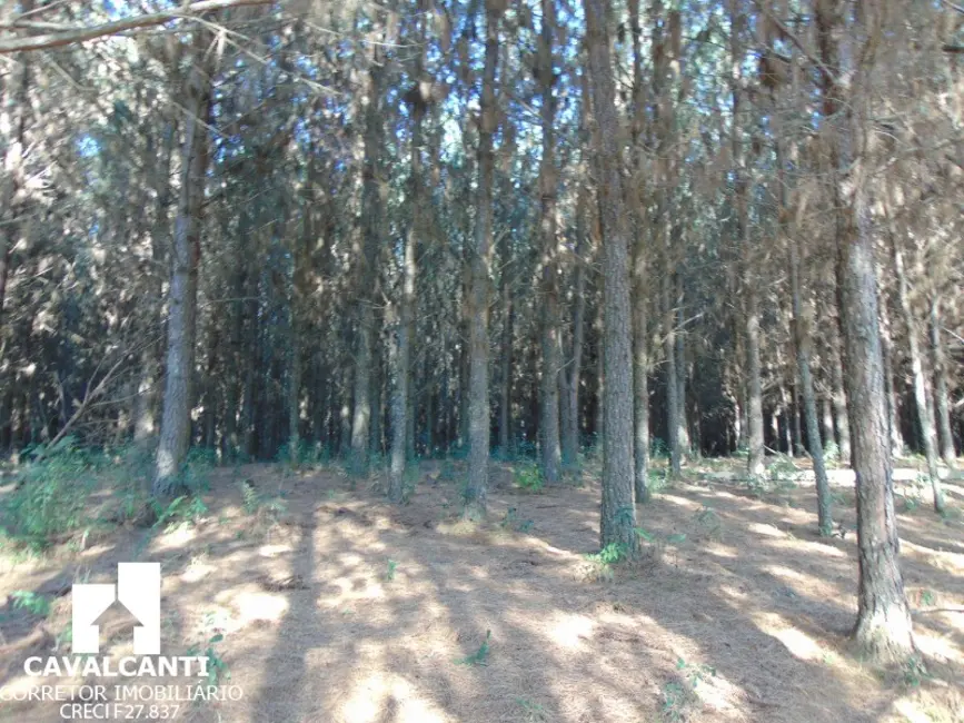Chácara à venda, 75000m2 em Campina do Taquaral, Sao Jose Dos Pinhais - PR - imagem 8 Foto 8 de Chácara à venda, 75000m2 em Campina do Taquaral, Sao Jose Dos Pinhais - PR