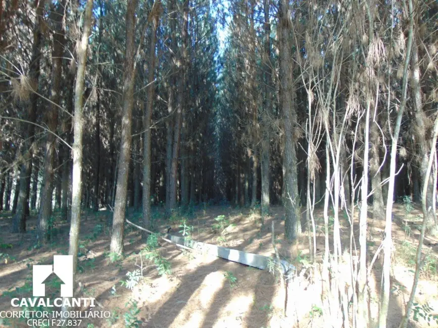 Chácara à venda, 75000m2 em Campina do Taquaral, Sao Jose Dos Pinhais - PR - imagem 9 Foto 9 de Chácara à venda, 75000m2 em Campina do Taquaral, Sao Jose Dos Pinhais - PR