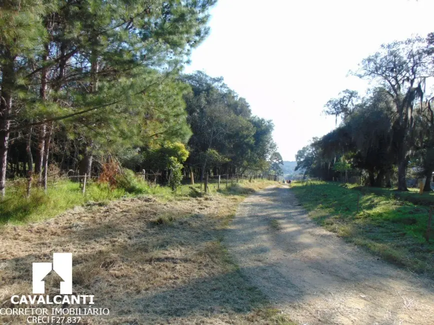 Chácara à venda, 75000m2 em Campina do Taquaral, Sao Jose Dos Pinhais - PR - imagem 4 Foto 4 de Chácara à venda, 75000m2 em Campina do Taquaral, Sao Jose Dos Pinhais - PR