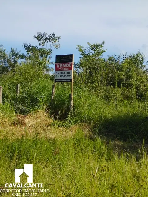 Foto 40 de Terreno / Lote à venda, 75000m2 em Campina do Taquaral, Sao Jose Dos Pinhais - PR