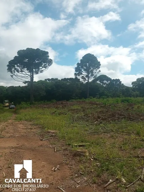 Foto 21 de Terreno / Lote à venda, 75000m2 em Campina do Taquaral, Sao Jose Dos Pinhais - PR