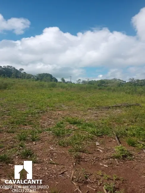 Foto 37 de Terreno / Lote à venda, 75000m2 em Campina do Taquaral, Sao Jose Dos Pinhais - PR