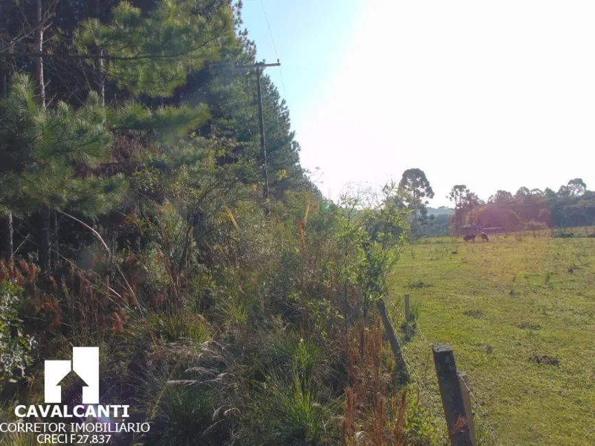 Terreno / Lote à venda em Campina do Taquaral, Sao Jose Dos Pinhais - PR - imagem 5 Foto 5 de Terreno / Lote à venda em Campina do Taquaral, Sao Jose Dos Pinhais - PR