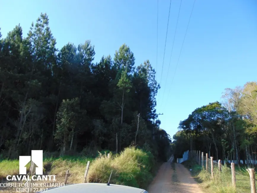 Foto 12 de Terreno / Lote à venda em Campina do Taquaral, Sao Jose Dos Pinhais - PR