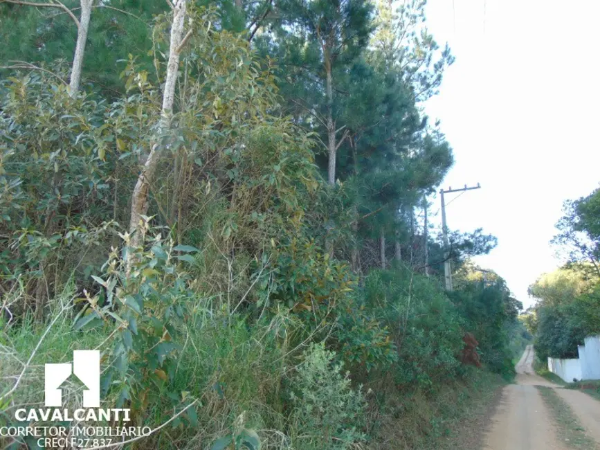 Terreno / Lote à venda em Campina do Taquaral, Sao Jose Dos Pinhais - PR - imagem 8 Foto 8 de Terreno / Lote à venda em Campina do Taquaral, Sao Jose Dos Pinhais - PR