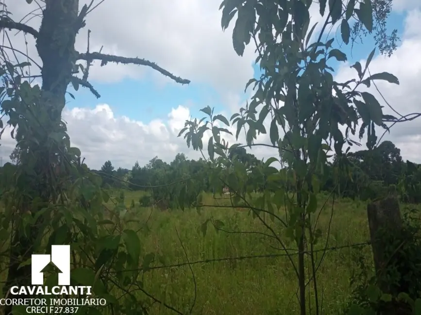 Foto 24 de Terreno / Lote à venda em Campina do Taquaral, Sao Jose Dos Pinhais - PR