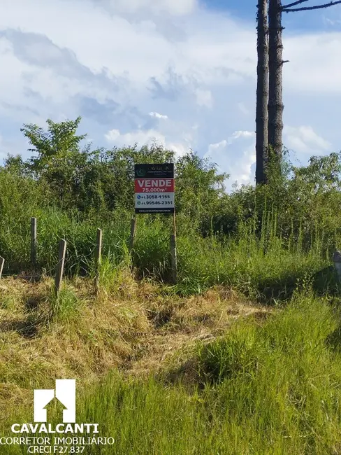 Foto 41 de Terreno / Lote à venda em Campina do Taquaral, Sao Jose Dos Pinhais - PR