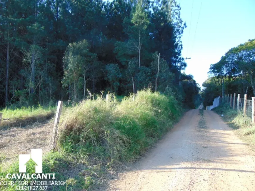 Foto 13 de Terreno / Lote à venda em Campina do Taquaral, Sao Jose Dos Pinhais - PR