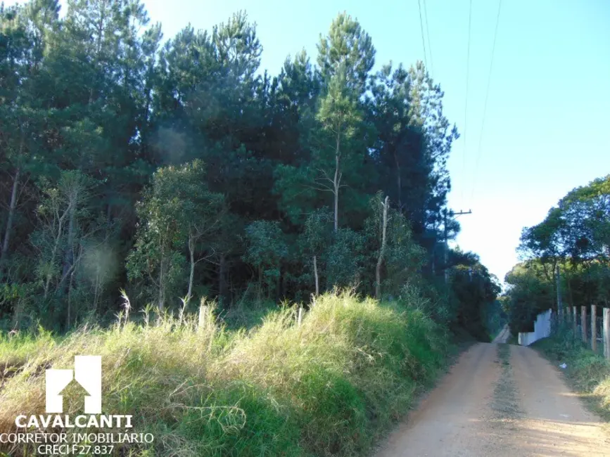Terreno / Lote à venda em Campina do Taquaral, Sao Jose Dos Pinhais - PR - imagem 7 Foto 7 de Terreno / Lote à venda em Campina do Taquaral, Sao Jose Dos Pinhais - PR