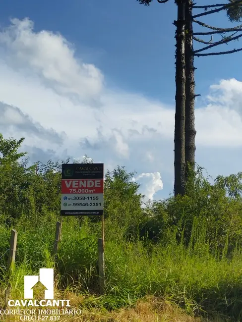Foto 42 de Terreno / Lote à venda em Campina do Taquaral, Sao Jose Dos Pinhais - PR