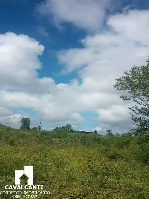 Foto 36 de Terreno / Lote à venda em Campina do Taquaral, Sao Jose Dos Pinhais - PR