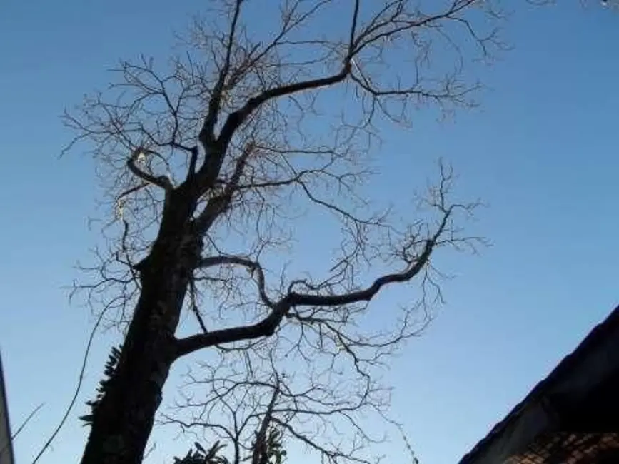 Foto 9 de Casa de Condomínio com 4 quartos à venda, 650m2 em Alphaville, Santana De Parnaiba - SP