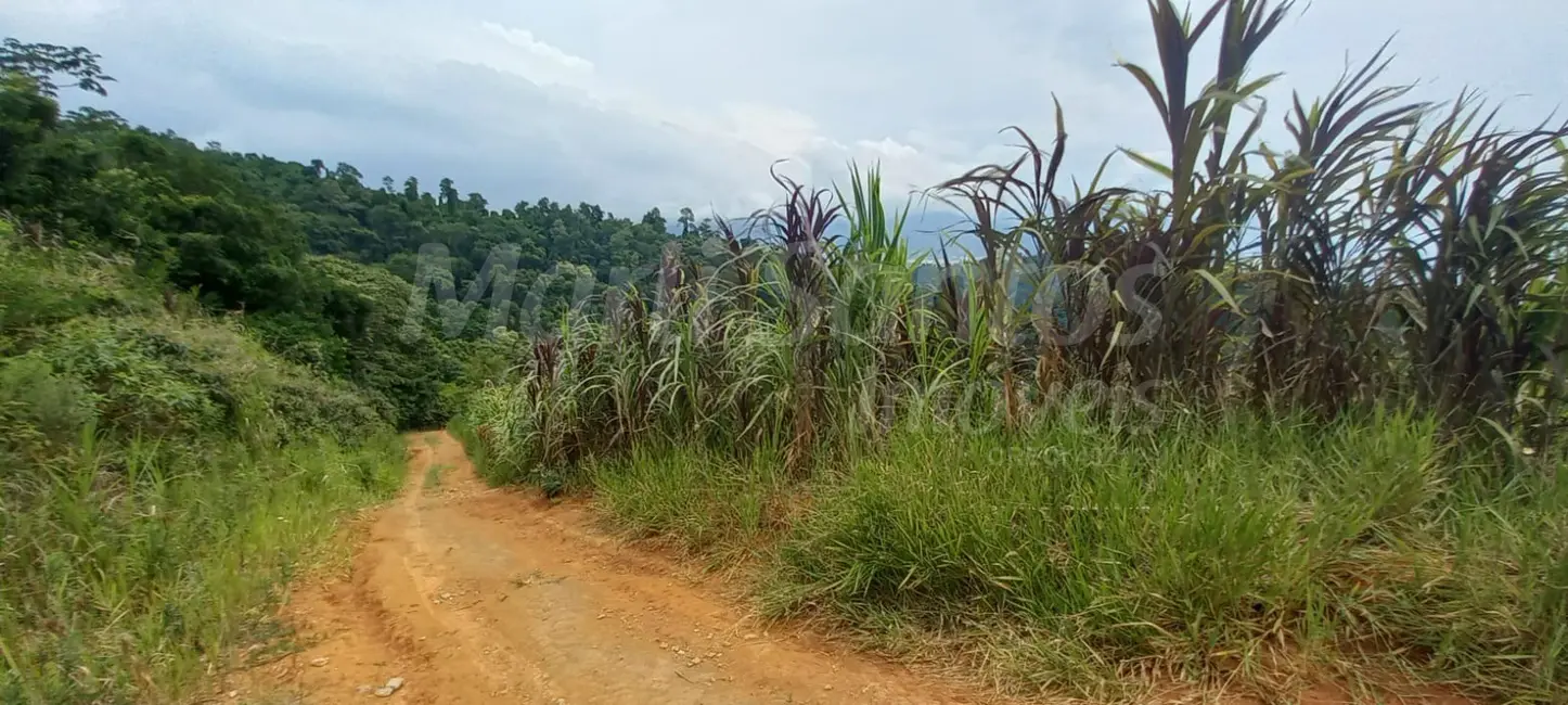 Foto 4 de Terreno / Lote à venda, 12520m2 em Barra Velha, Ilhabela - SP