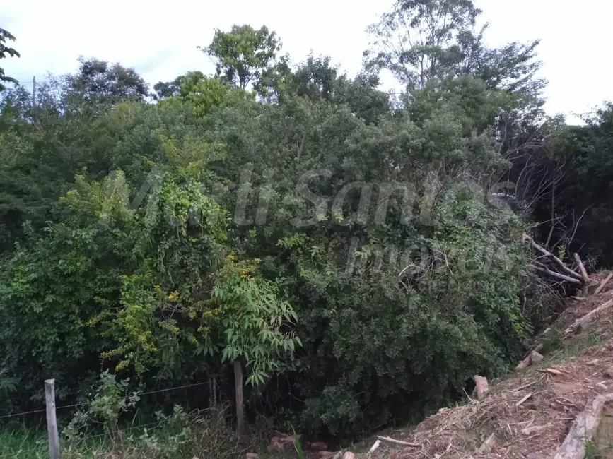 Foto 7 de Terreno / Lote à venda, 3538m2 em Ilhabela - SP