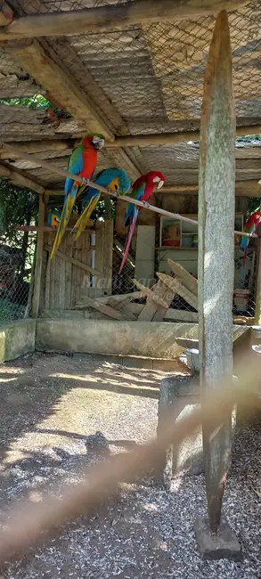 Foto 6 de Casa com 1 quarto à venda, 112m2 em Ilhabela - SP