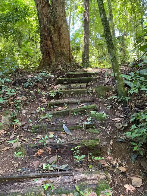 Casa com 4 quartos à venda, 151m2 em Barra Velha, Ilhabela - SP - imagem 9 Foto 9 de Casa com 4 quartos à venda, 151m2 em Barra Velha, Ilhabela - SP