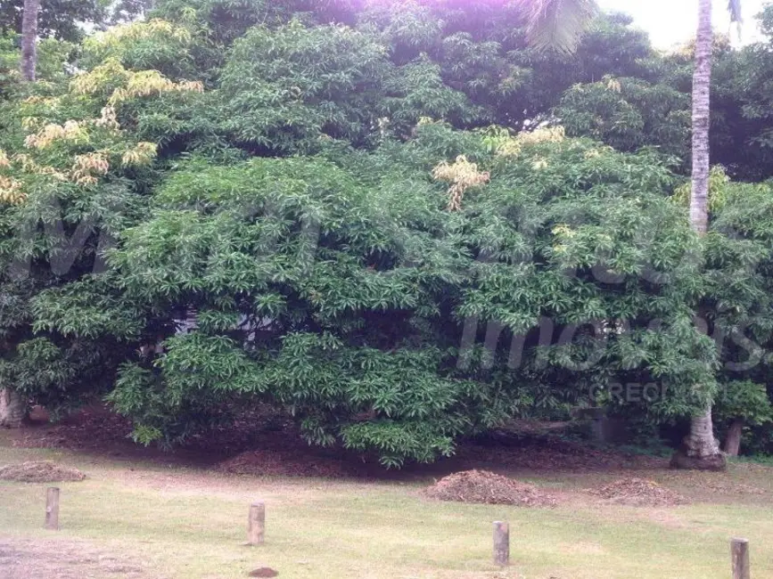 Foto 6 de Casa com 5 quartos à venda, 628m2 em Ilhabela - SP