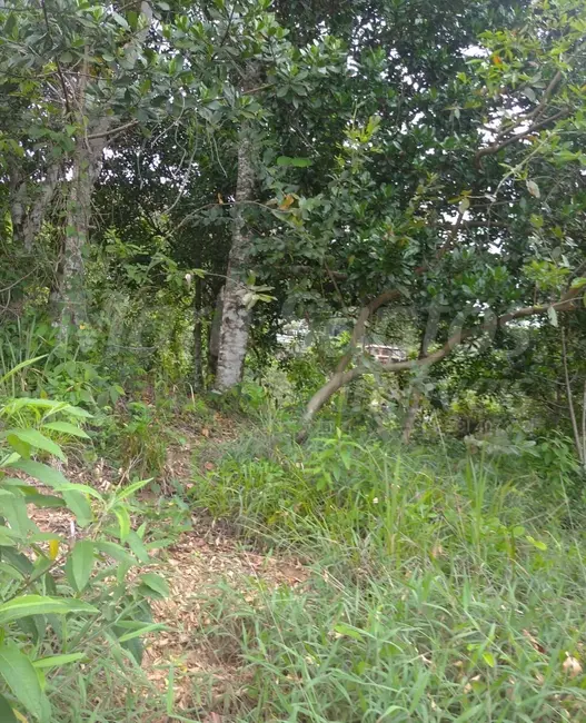 Foto 2 de Terreno / Lote à venda, 1010m2 em Ilhabela - SP