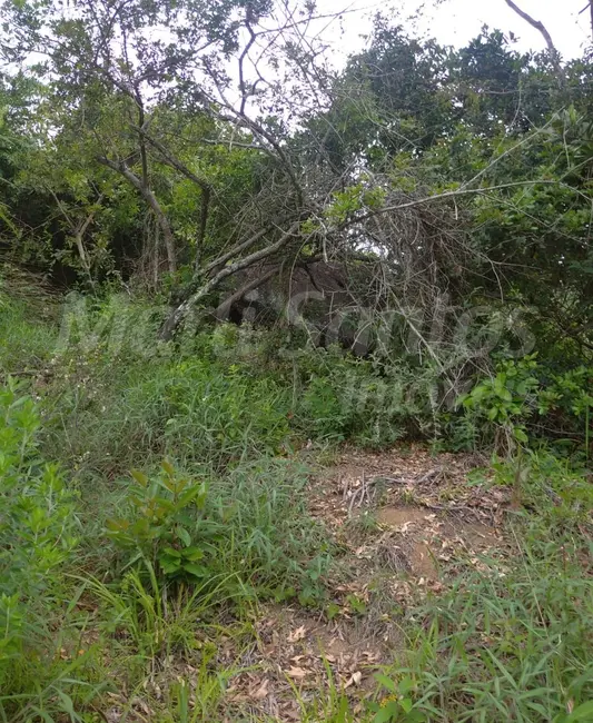 Foto 3 de Terreno / Lote à venda, 1010m2 em Ilhabela - SP