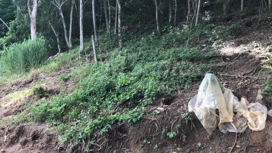 Foto 2 de Terreno / Lote à venda, 742m2 em Ilhabela - SP