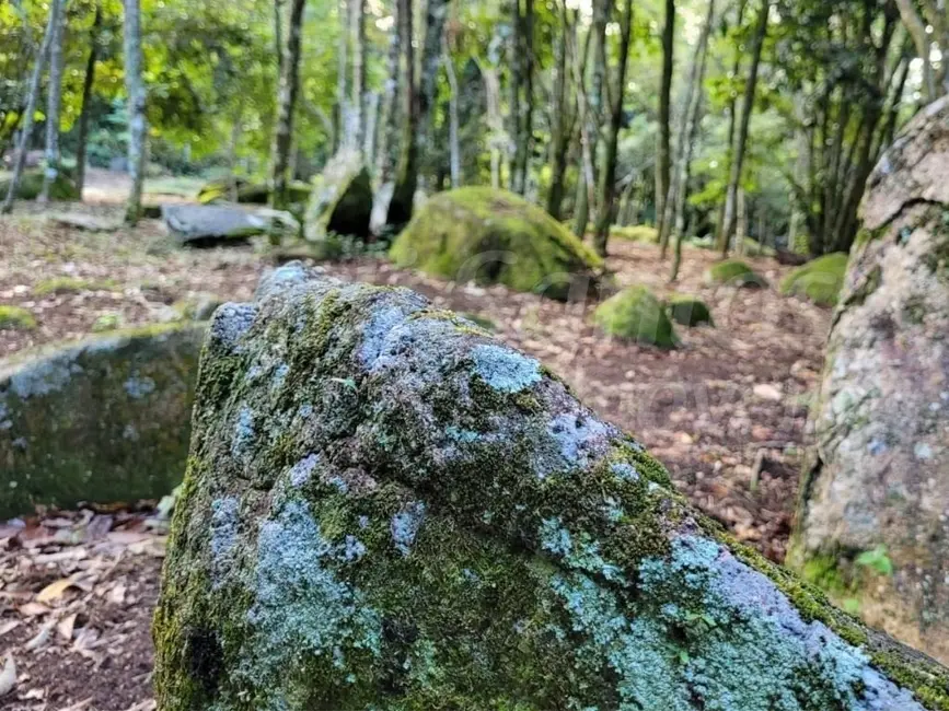 Foto 1 de Terreno / Lote à venda, 3802m2 em Ilhabela - SP