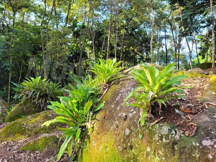 Foto 6 de Terreno / Lote à venda, 3802m2 em Ilhabela - SP