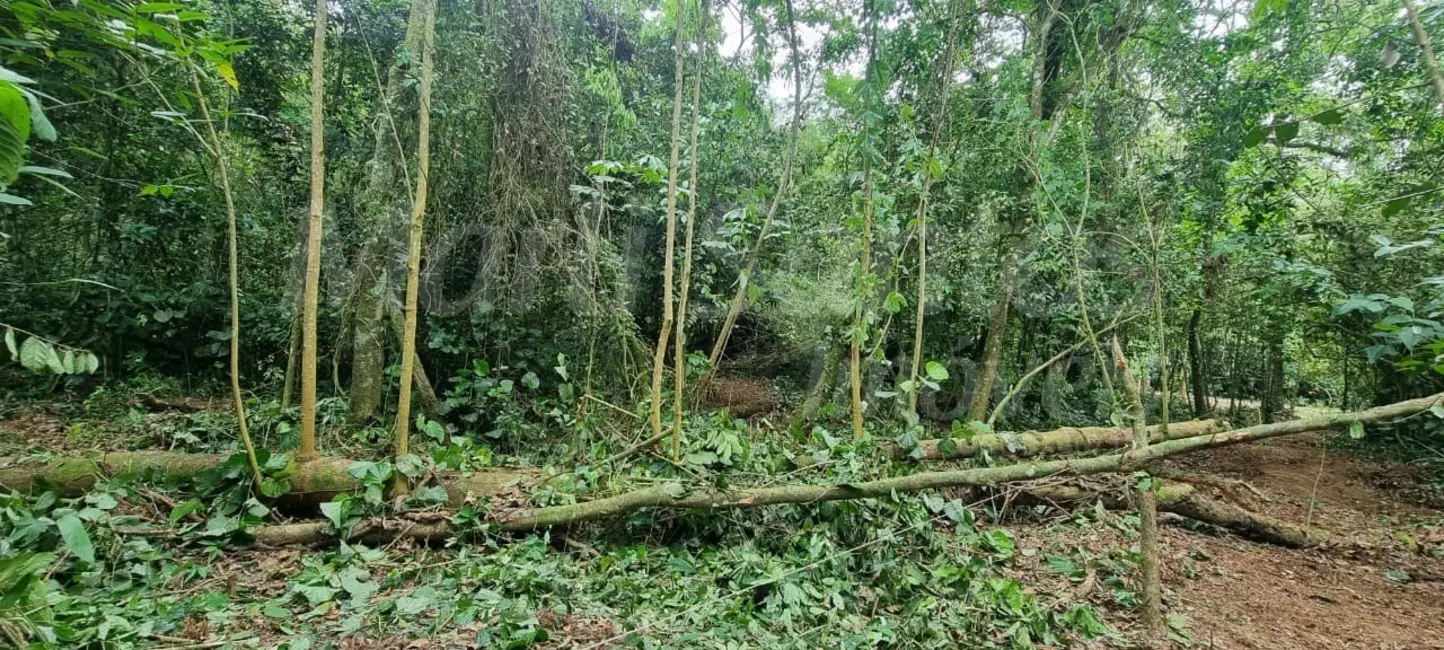 Foto 8 de Terreno / Lote à venda, 1175m2 em Ilhabela - SP