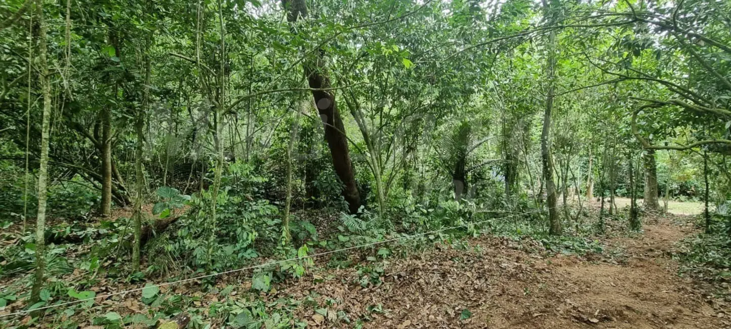 Foto 5 de Terreno / Lote à venda, 1175m2 em Ilhabela - SP